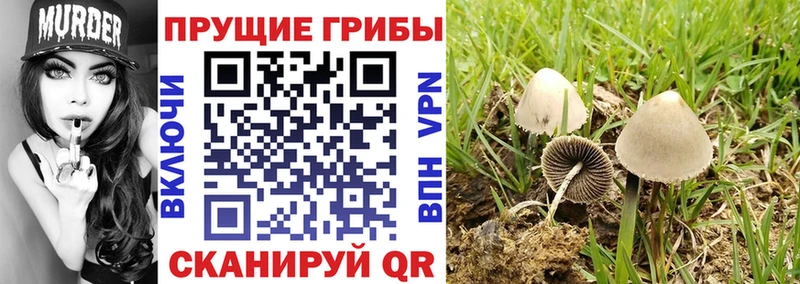 Галлюциногенные грибы ЛСД  Сасово 